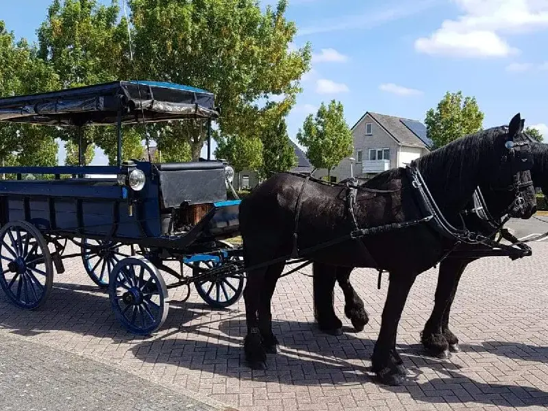 Carrozza coperta privata Weerribben
