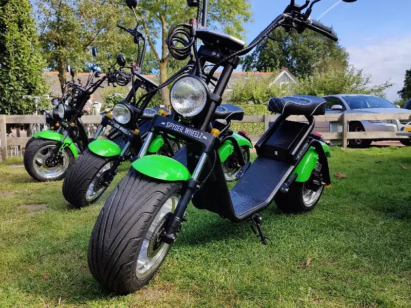 Weerribben Chopper Tarde